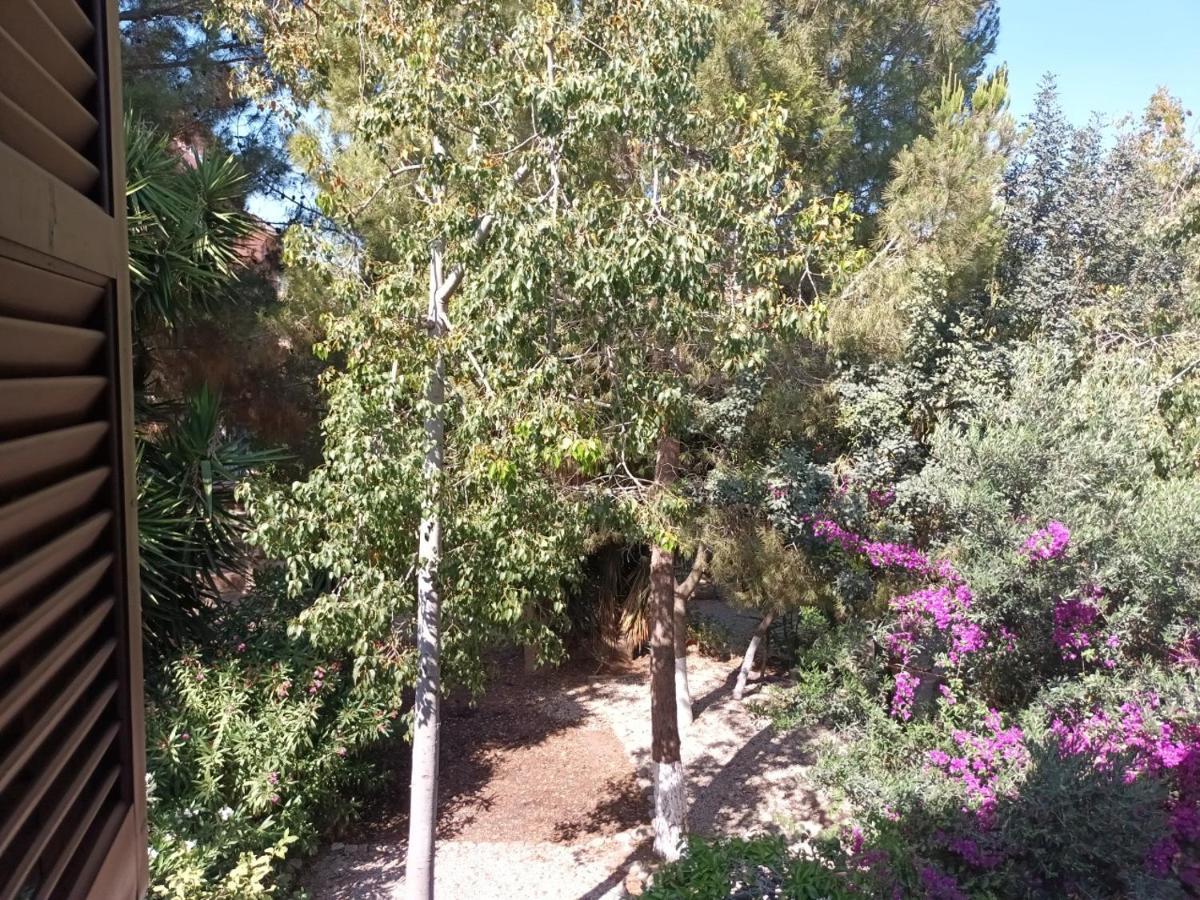 Limnaria Deluxe Maisonette Πάφος Εξωτερικό φωτογραφία